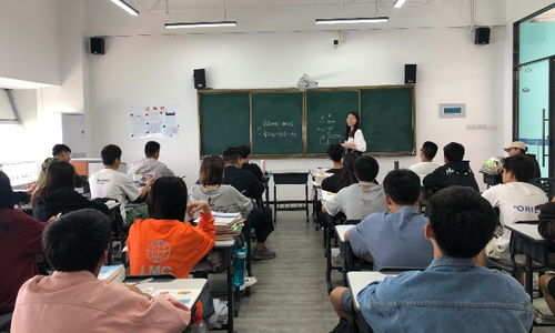 廈門學大教育與淘學培訓 解析藝考文化課補習與藝術培訓的選擇